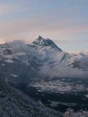 lt;Honor calls for N