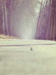 I Picked Up a Cultiv