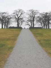 The Unmarried Wife o