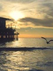 Eternal Sword Ancest