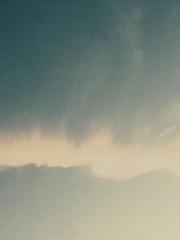 Jiang Mingzhu Zhou L