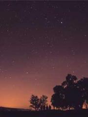 Transmigration: Feel