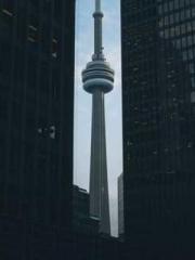 A wife hopes to rema