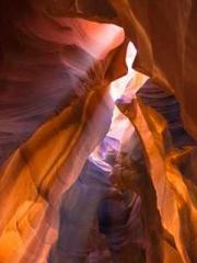 I Picked Up a Cultiv