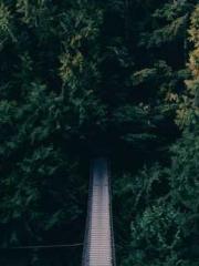 Professor Yan is goi