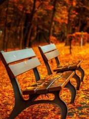 Rong Zhao, male, Nin