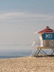 The Legend of the Dr