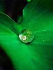 The Taoist nun was f