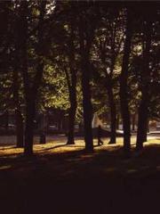 A Second Marriage Mo