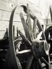 I Picked Up a Cultiv