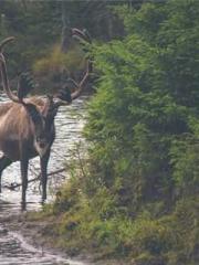 Cultivating My Empre