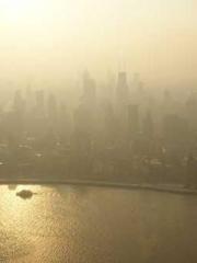 I Picked Up a Cultiv