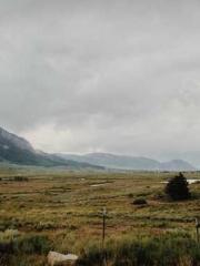 Shocking! This prota