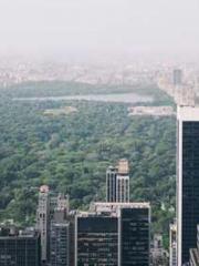 Cultivating My Empre