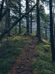 Lu Wanwan Li Jingche