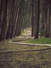 Unbound by any rules