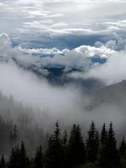 Rong Shao Nan Ning Y