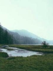 Fu Zi Mo Qin Luo Yan