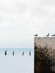 Dangerously Close to