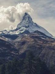 My seven stunning an